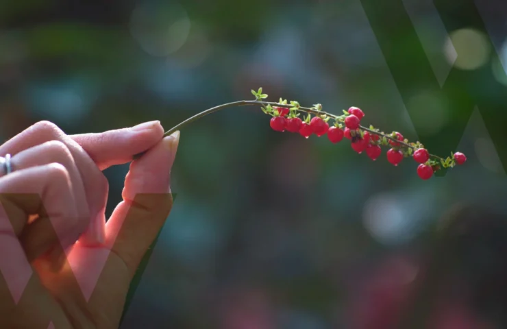 Menopausa e benessere naturale