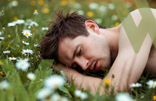 CALO DEL DESIDERIO AD APRILE